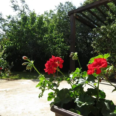Apartamento Angie A2 In